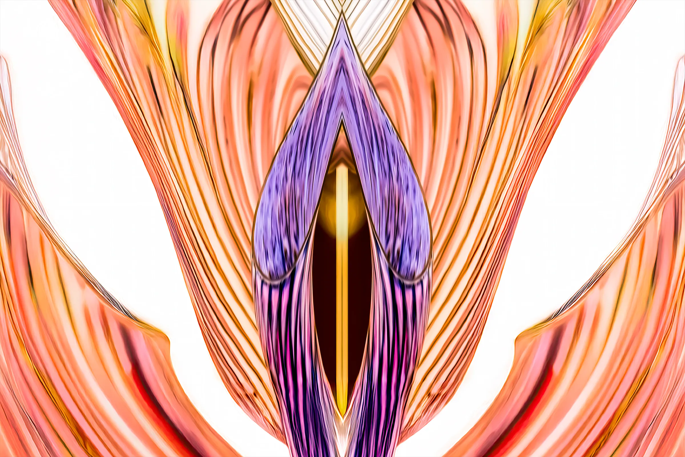 Bild aus der Serie ‚Space over Time‘ von Steffen Freiling – slit-scan-basierte Fotografie, die Raum und Zeit visuell verschiebt und gewohnte Wahrnehmung herausfordert.