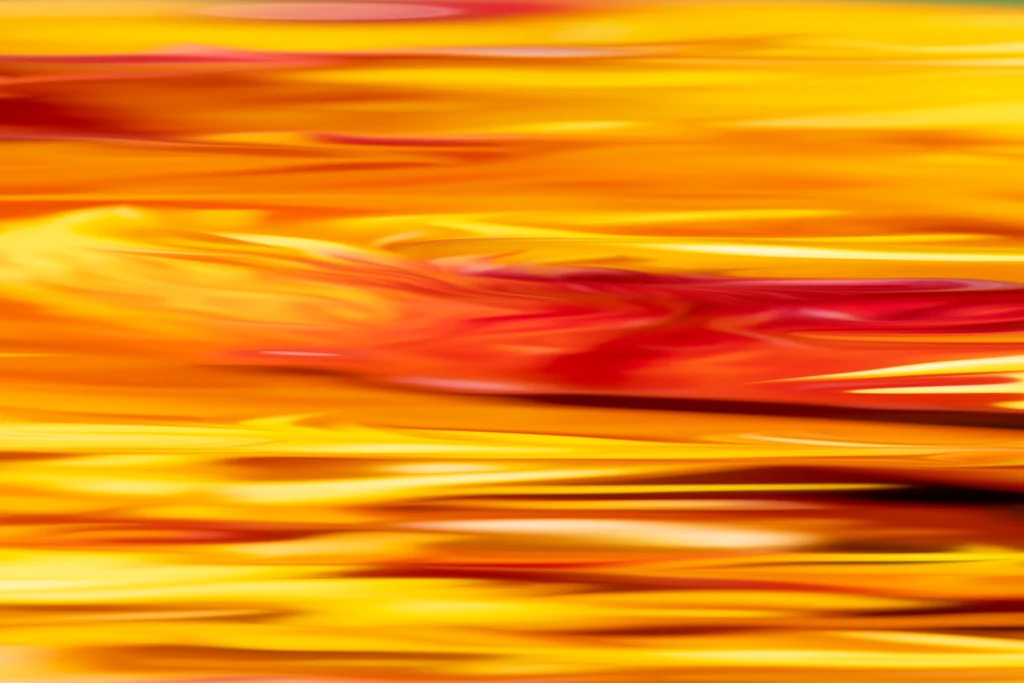 Abstrakter Blütenausschnitt aus ‚The Color Codes‘ von Steffen Freiling – Makrofotografie, die das Alltägliche neu sichtbar macht