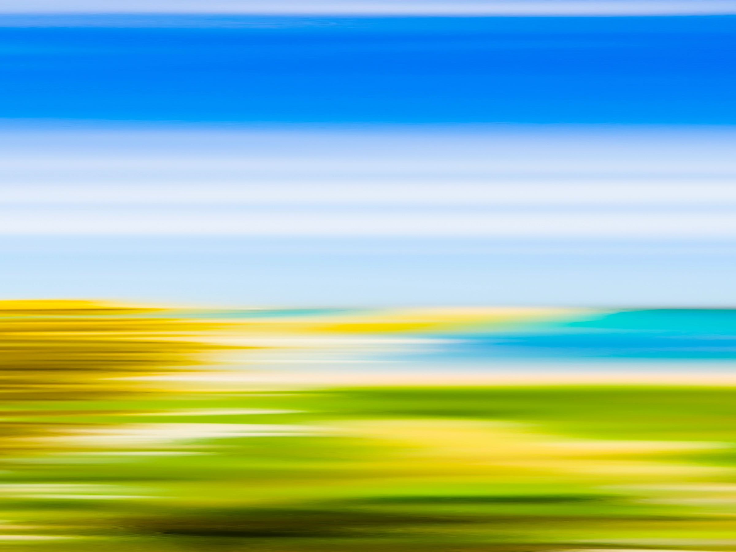 Abstrakter Blütenausschnitt aus ‚The Color Codes‘ von Steffen Freiling – Makrofotografie, die das Alltägliche neu sichtbar macht