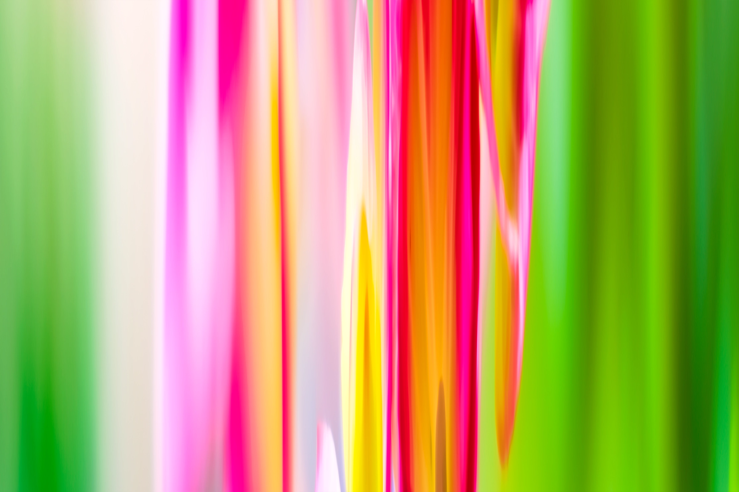 Abstrakter Blütenausschnitt aus ‚The Color Codes‘ von Steffen Freiling – Makrofotografie, die das Alltägliche neu sichtbar macht