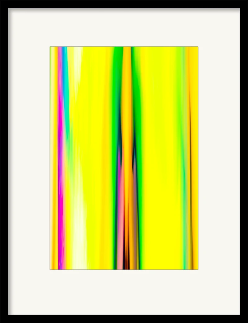 Orchid 11 (Fine Art Print framed)