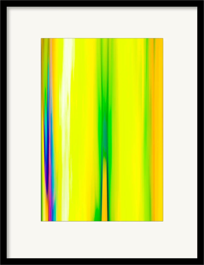 Orchid 07 (Fine Art Print framed)