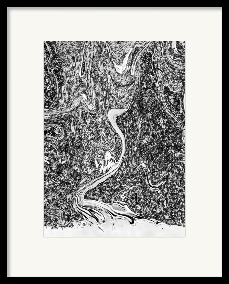 Swan b/w (Fine Art Print framed)