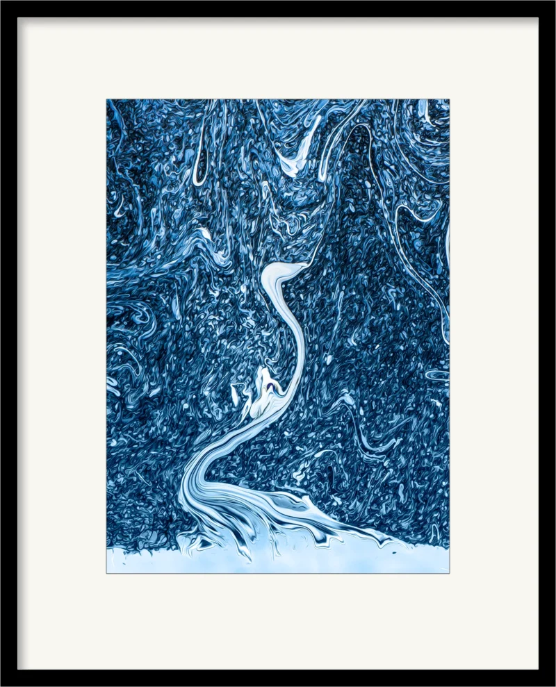 Swan (Fine Art Print framed)