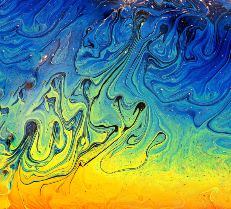 Vincent (Fine Art Print)