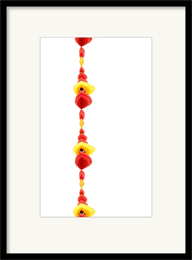 On a String (Fine Art Print framed)