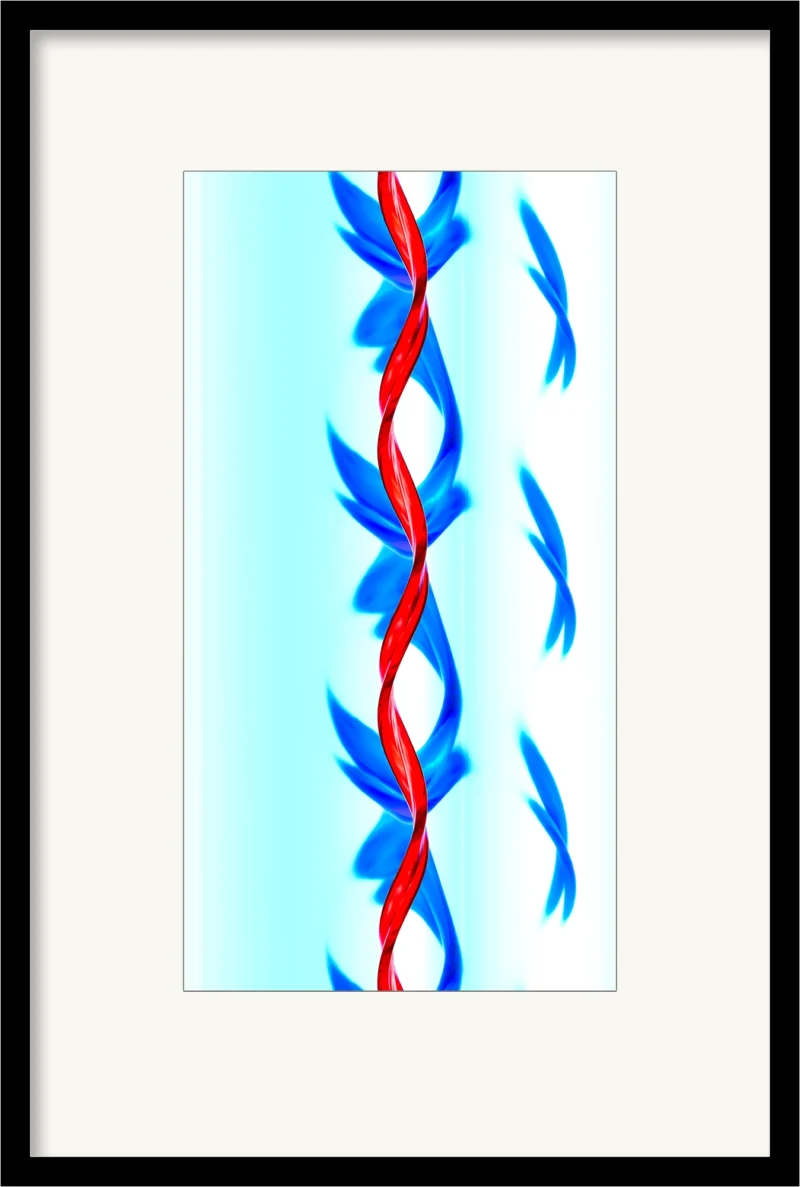 Fizz (Fine Art Print gerahmt)