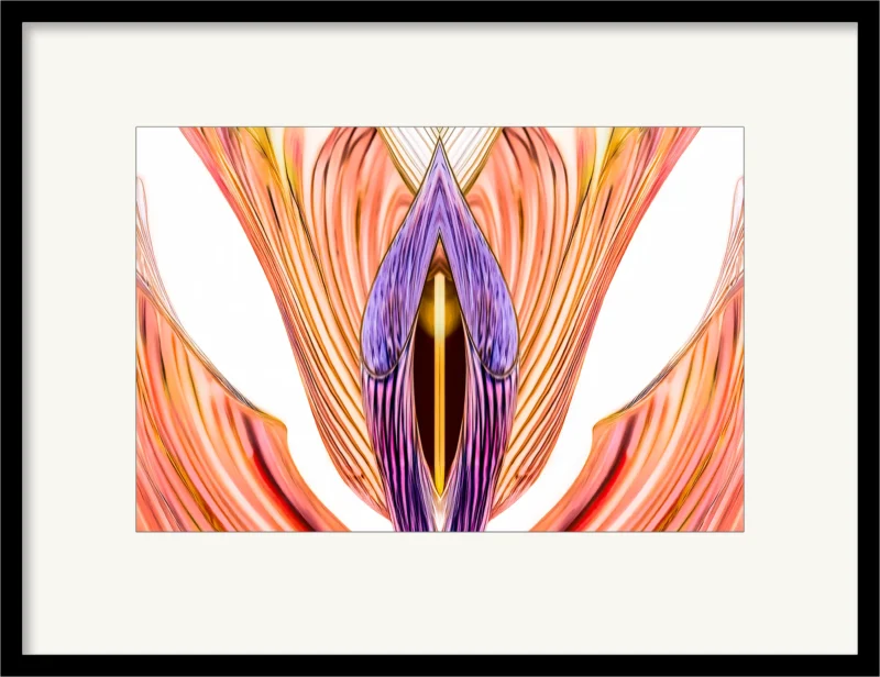 Whispered Grace (Fine Art Print gerahmt)