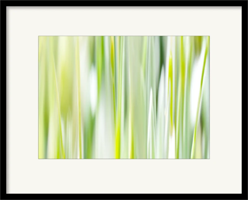 N° 5981 (Fine Art Print gerahmt)