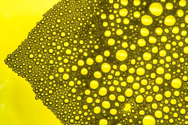 Yellow (Fine Art Print)